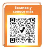 01-Entrarle-o-no-a-una-tanda-qr
