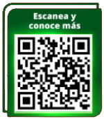 01-No-caigas-qr