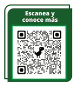 04-Frases-que-frenan-tu-inversión-QR
