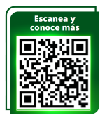 08-Estafas-con-IA-QR